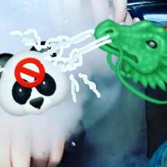 Panda (Dragon Mix)