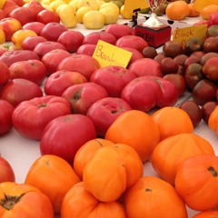 A Year of Mindful Eating: Tomatoes