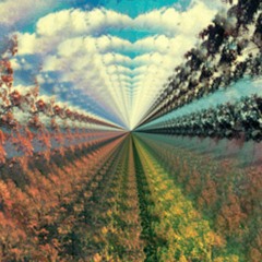 Concentrate (Original Mix)