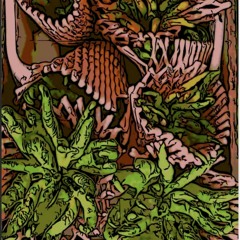 Chester.Soso - Spotter