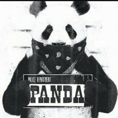 Gage boutadolla panda freestyle