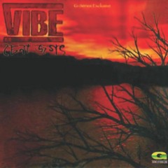 Bidhatar rong-VIBE