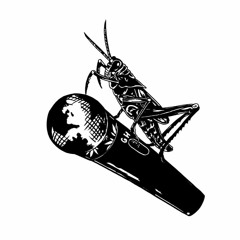 Grässhopas - ILLCD065- Grässhopas - Tsipap Appi - 04 Hakklihapizza (feat. DJ Hash)