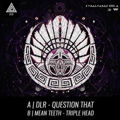 Plasma 010 - DLR - Question That