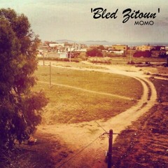 Bled Zitoun - MOMO