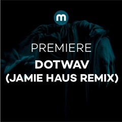 Premiere: Dotwav 'Stroke' (Jamie Haus Remix)