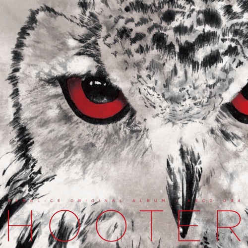 HOOTER DEMO