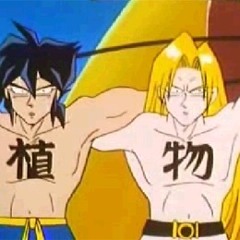 気分はパプワ晴れ(化級生BOOTLEG・未完)