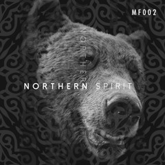 Northern Spirit (Original Mix)