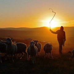 Meet Me In The Middle Of The Air / Psalm 23 - Paul Kelly (Cover By Rob Pallot)