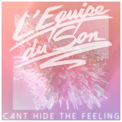 14. L'Equipe Du Son - Can't Hide The Feeling (album Version)