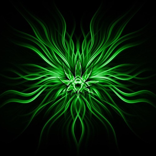 Progressive Effector - Smoke Weed Every Day!