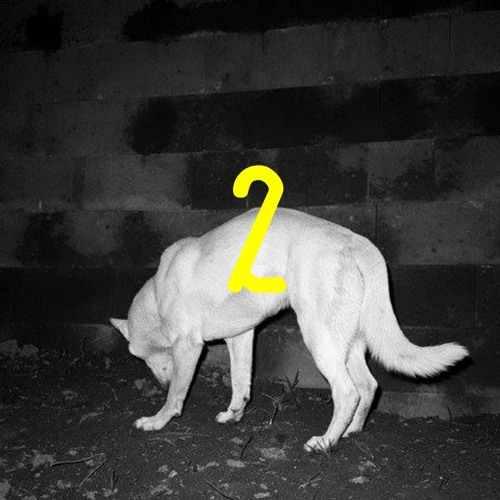 Les rats font souvent des chiens