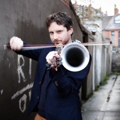 The Dogs Among the Bushes