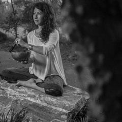 Journey Through Sound (w/Sean Hoots)