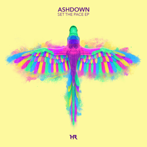 Ashdown & Dooqu - Set The Pace