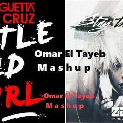 Zedd Vs David Guetta - Stay The Night vs Little Bad Girl (OmarEl-Tayeb Mashup)