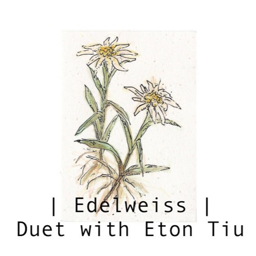 Edelweiss (Live Duet with Eton Tiu)