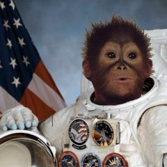 Lost Spacemonkeys
