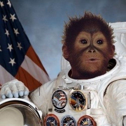 Lost Spacemonkeys