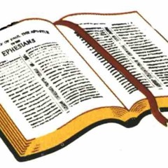 A Bible Mind-Set, Part 1 - Consider What I Say