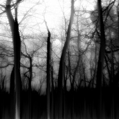 Temple of Guts & Nema - Bohrmaschinenvoodoo