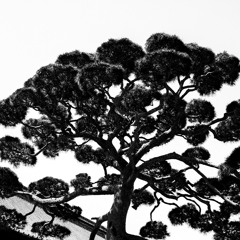 Kyle wrote this poem