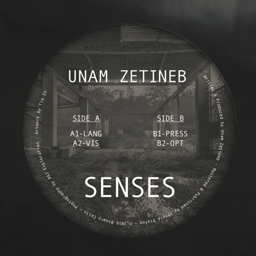 BCS001 - (A1) Unam Zetineb - Lang (Original Mix) Preview Clip