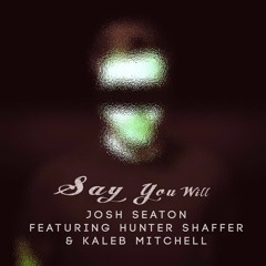 Josh Seaton - Say You Will ft. Hunter Shaffer & Kaleb Mitchell