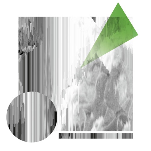 Syff002 - Benoît and the Mandelbrots - s/t (Previews)