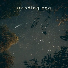Standing Egg - Starry Night