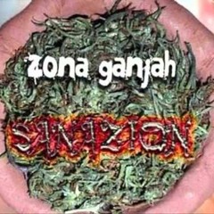 Zona Ganja - Dos Que Brillamos