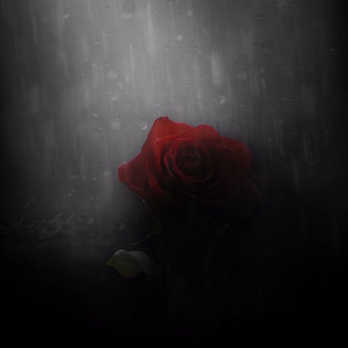 Rose By Werewolf (DSA Remix)