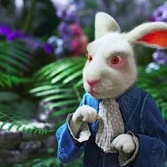 Jagna e Aladdim - Coelho Branco