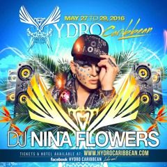 Hydro Caribbean Festival Teaser Mix