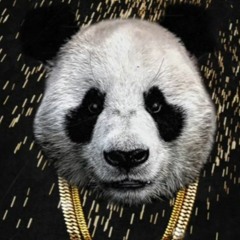 DJ WUNZ - PANDA FREESTYLE (GET IT)