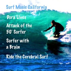 Surf Music California