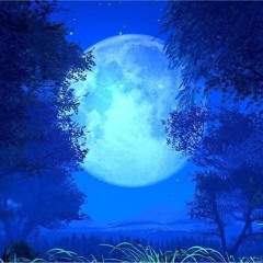 Sing To The Moon