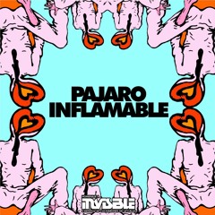 Las golondrinas de Plaza de Mayo