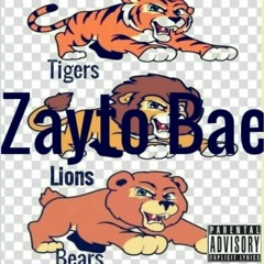 Zayto Bae - LTB