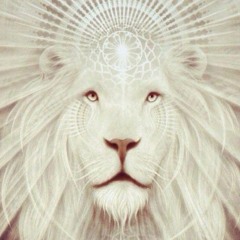 Firetribe 5 Year pt. 1