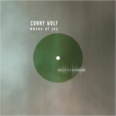 Conny Wolf - Feeling for You (Nik Nazarov Remix)