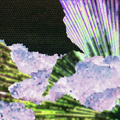 WHITE MARE - ABOVE THE GREEN OCEAN