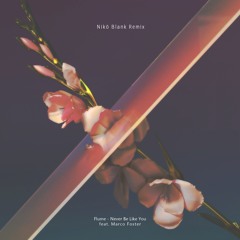 Flume - Never Be Like You feat. Marco Foster (Nikö Blank Remix)