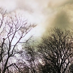 NORDIN_Nocturne_demotrack