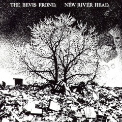 The Bevis Frond - He'd Be A Diamond (Taken From New River Head)