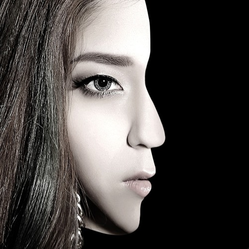 DJ RayRay 2011 RnB Mixtape : Like it or Fuck it