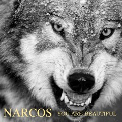 Narcos - You Are Beautiful Remixed