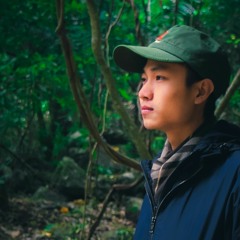 Không vui II - Quy To