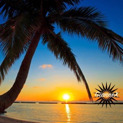 Hall Of Fame - Glee version (Giannex Remix - Tropical House)